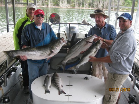 Nice Striped Bass